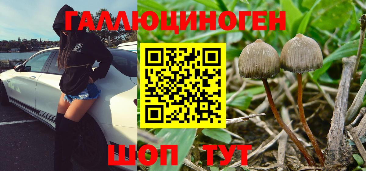 Псилоцибиновые грибы мицелий Заинск